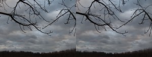 DSCF2243-CLS