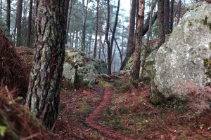 S IMG_8469Légé