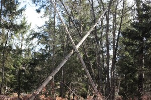 S IMG_9920